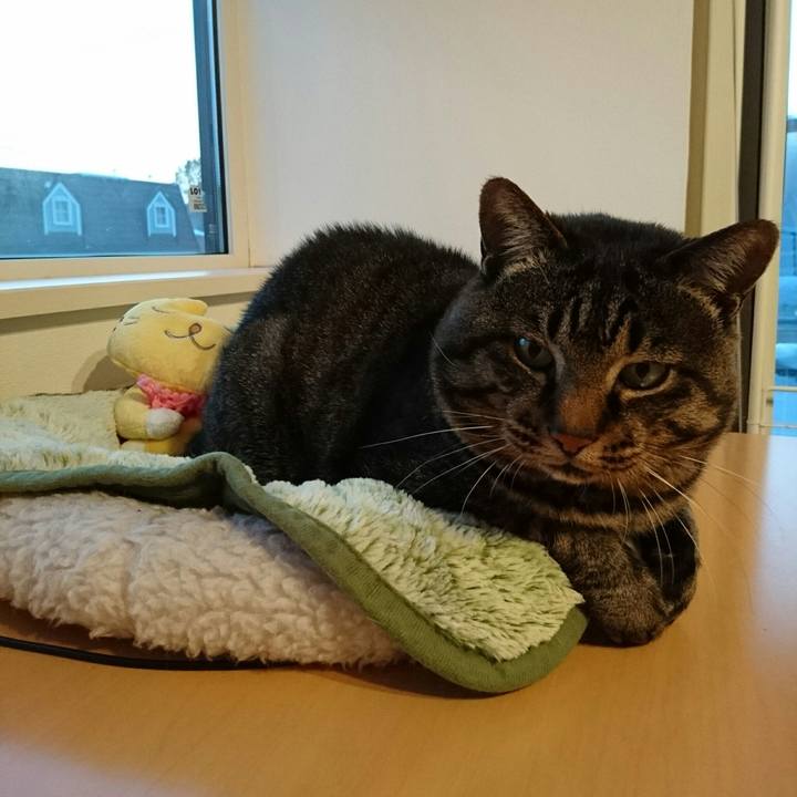 Dd6bcf0c f690 446e 8977 6ef75fd61fdf