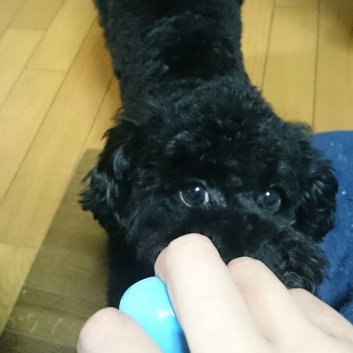 Dd6bdd77 e6ed 48ab bcfb 237bfa92f9c4