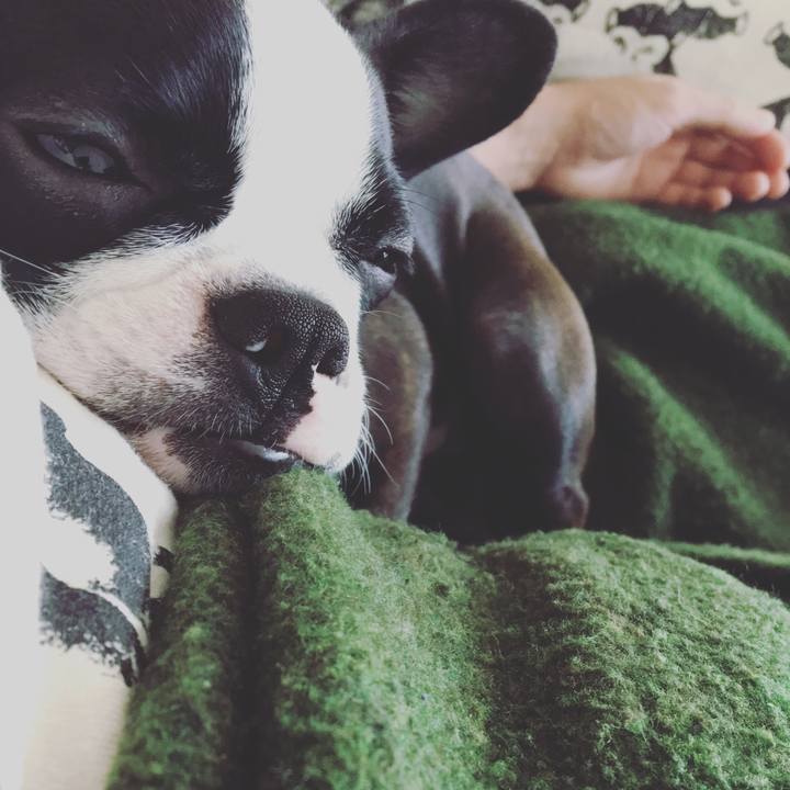 Dd6d7378 457d 4584 bfea 812a0b5fd9ab