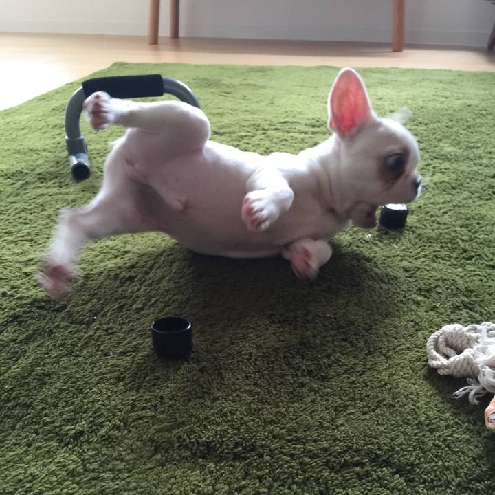 Dd6ee7f8 b350 4def b91c b3f135287fc5