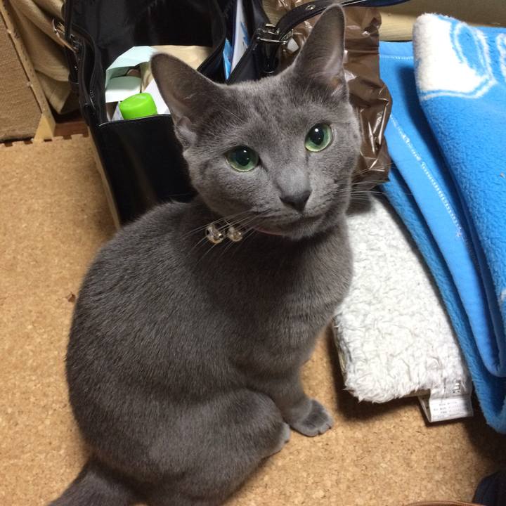 Dd6f36c6 145c 44a8 885d cf03d92ed9d4