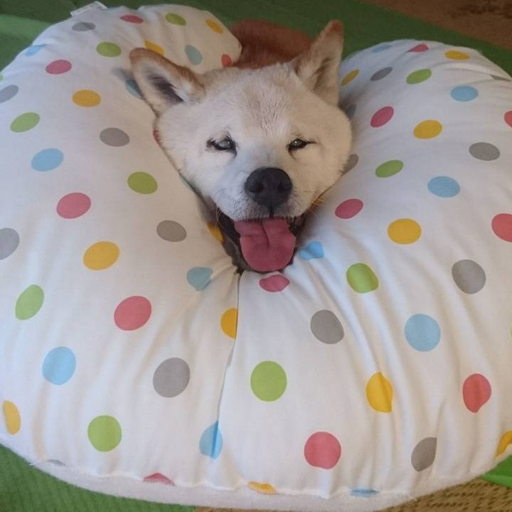 Dd6fc52d b891 44f3 8304 7dcf2b709b7d