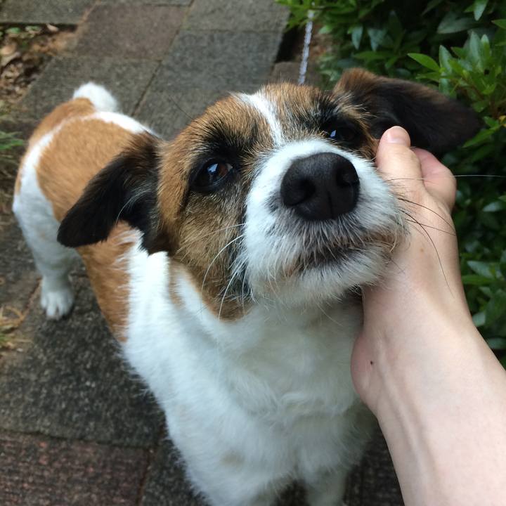 Dd700578 6b65 4473 b256 1dcec4505217