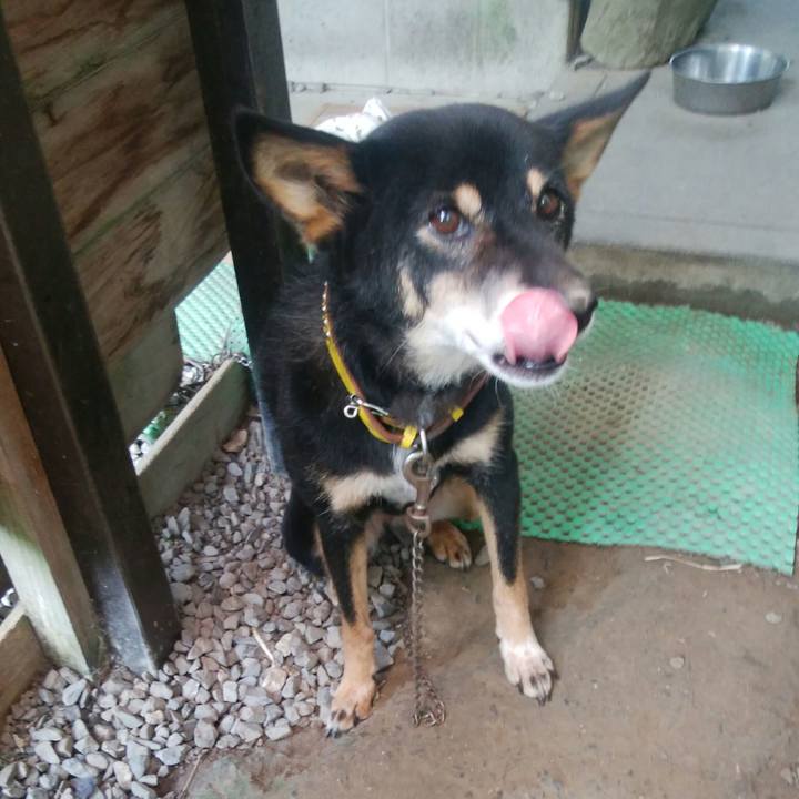 Dd7092d3 d6a4 4f56 9c53 2bc69fcecee5