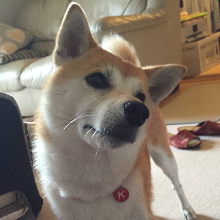 Dd70d407 f274 4185 bed6 28c7418bdad5