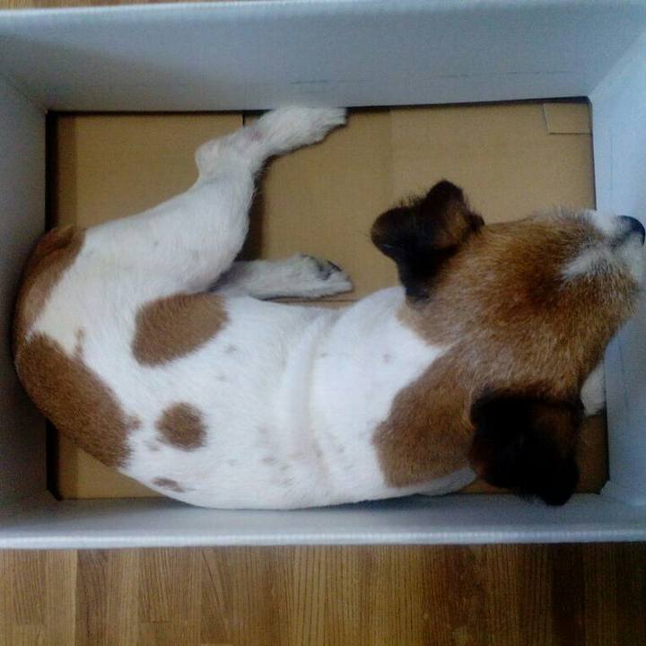 Dd739daa 14b0 47ca 9cf0 ac257c17c112