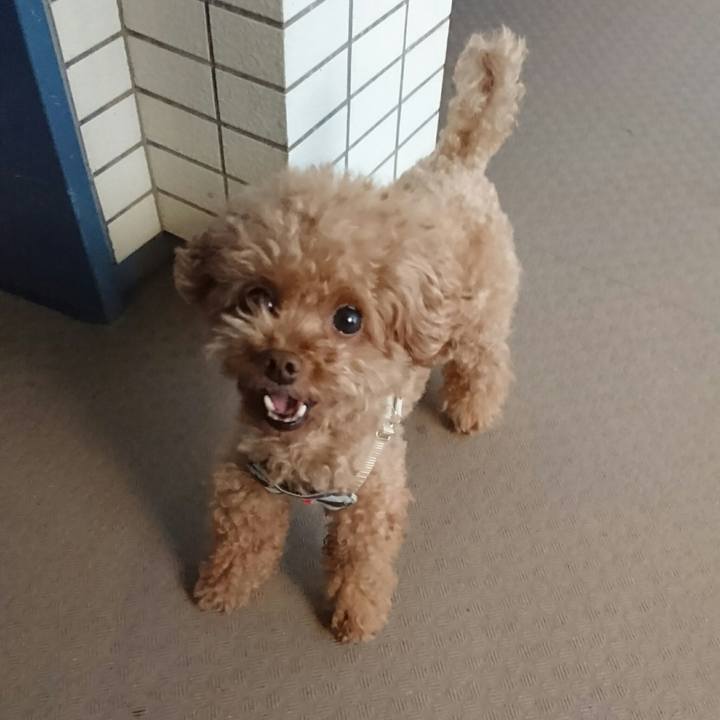 Dd73a4ab a6a9 4e02 9bd3 d434d72ac5c3