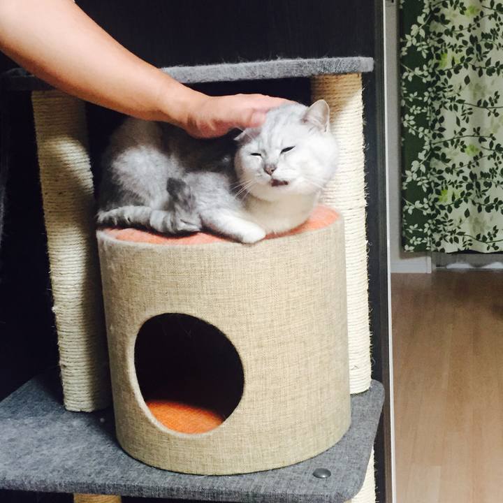 Dd7404d3 f7b6 4a05 bc73 34c5b6c3a19c