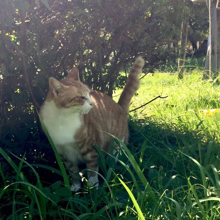 Dd74abdc 7db6 470a a225 4a20ae7a496e