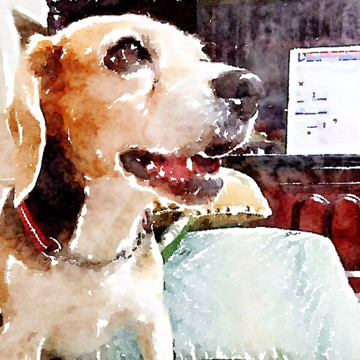 Dd74e206 a4d6 4621 bca3 e375e7714d7c