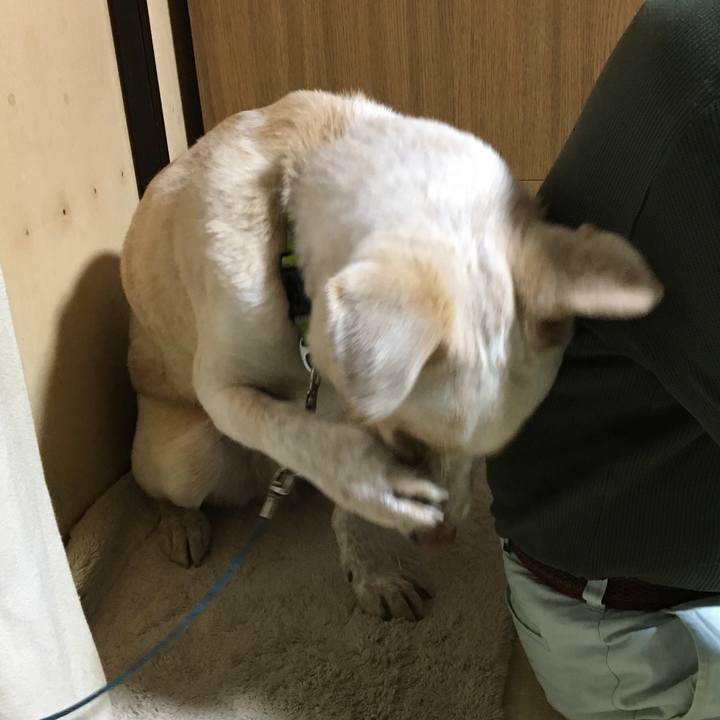 Dd74f6ed 2cce 4001 b485 dc41ab8d8b57