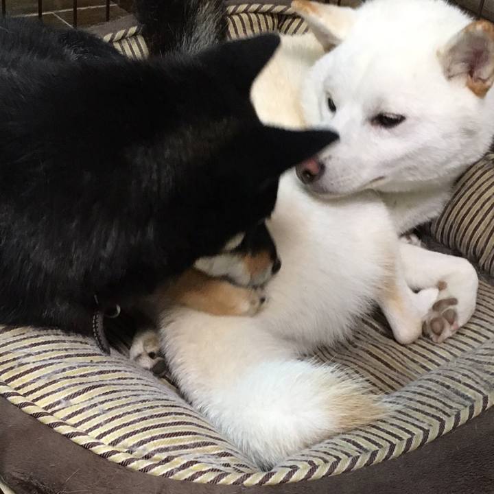 Dd754d42 e7f8 4dbd bb25 57cb97b44029