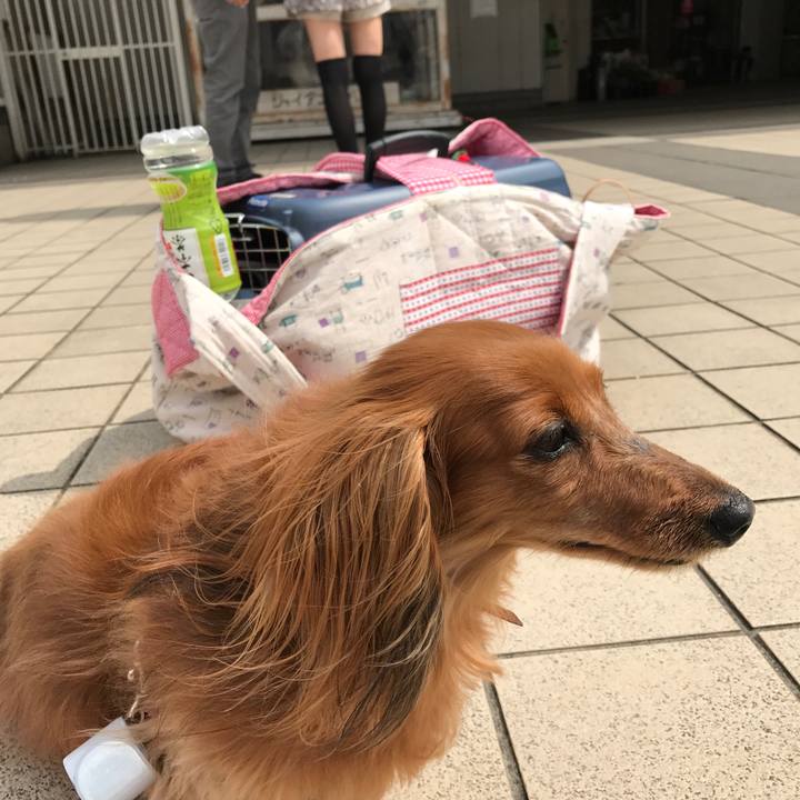 Dd757ea2 e133 486c bfa1 bb389f58129f