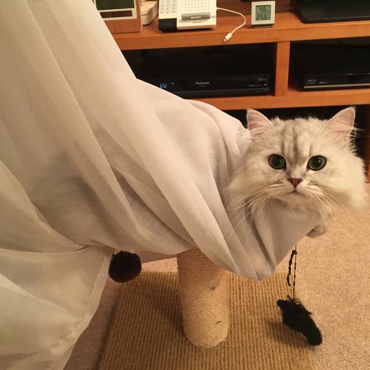 Dd770dcf 35a8 4236 a5a1 659a84a33442