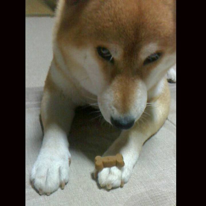 Dd779186 a1a1 4d88 96be cd2993c9f2c8