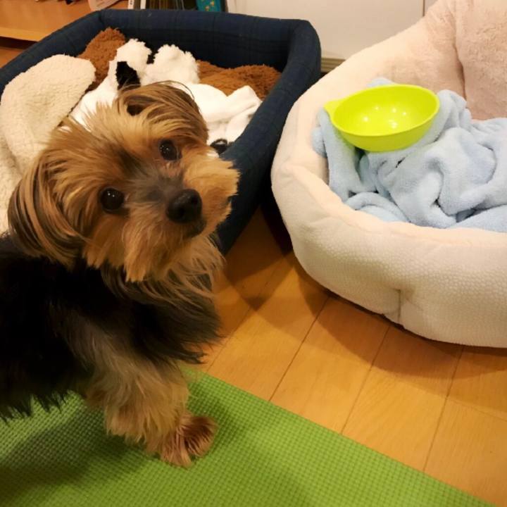 Dd7793cf 6f89 420f b7b0 e6db4ef71934