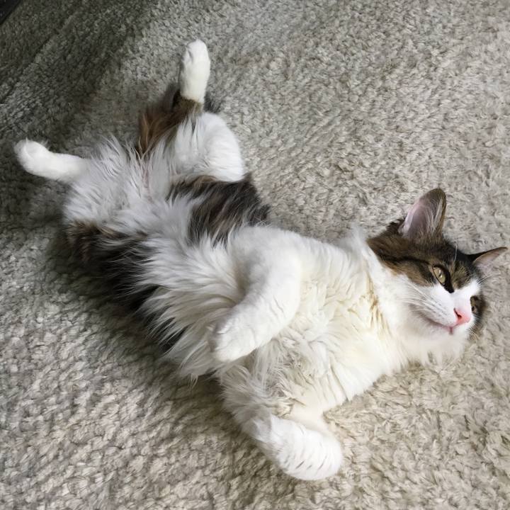 Dd78bb00 28a9 4be9 b2cf 927665f8f328