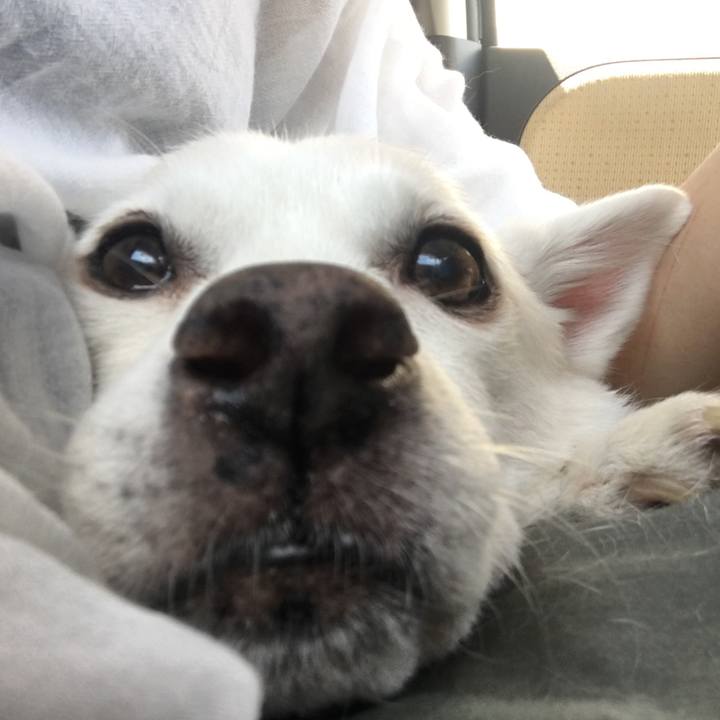 Dd7b349b 928a 440f a89e 1aa3fcc4e63b