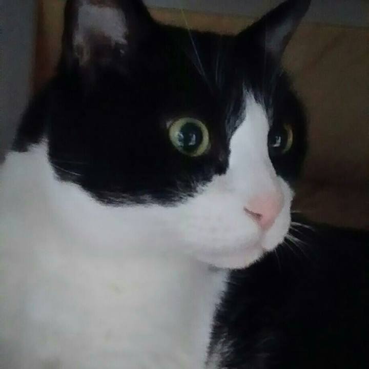 Dd7b3ed3 09a7 44c5 96c9 9d4a8ada43c3