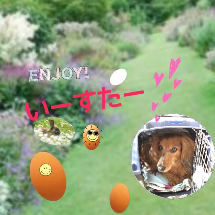 Dd7ba440 93c3 4ca3 815c daefb9fde679