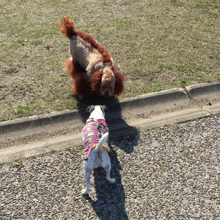 Dd7bc644 101c 46de aeac ee0fcee90f1f