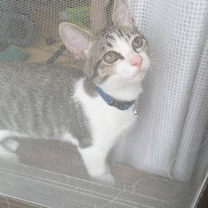 Dd7bf2ea 8171 4336 9def b7ca6035f6ff