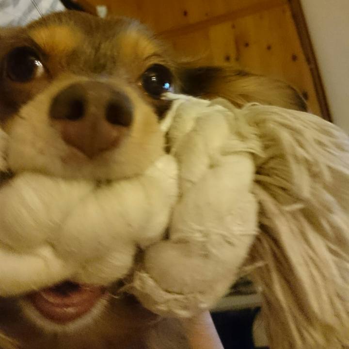 Dd7bfea4 3014 4aa7 a88e d566e9c617b1