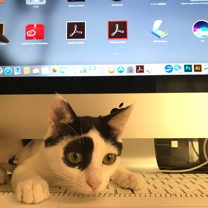 Dd7c25f6 c809 47b7 b320 85b7cf405e57