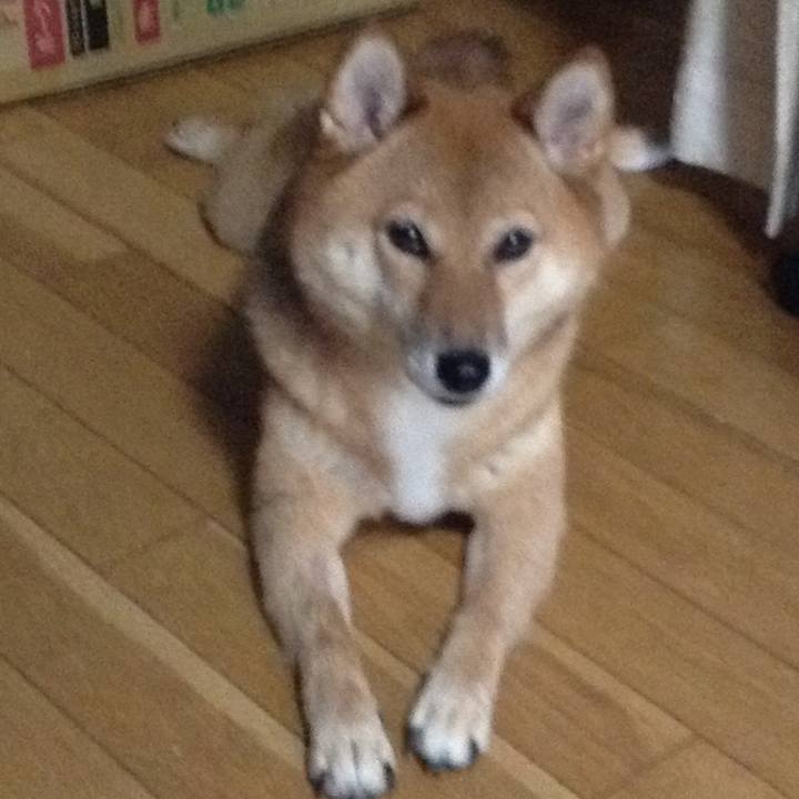 Dd7c54e7 466d 4901 a94d c3a6b82ca999