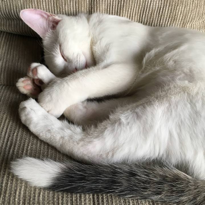 Dd7c7bbd 2ae5 4c2a ad8c 5ee9768f659a