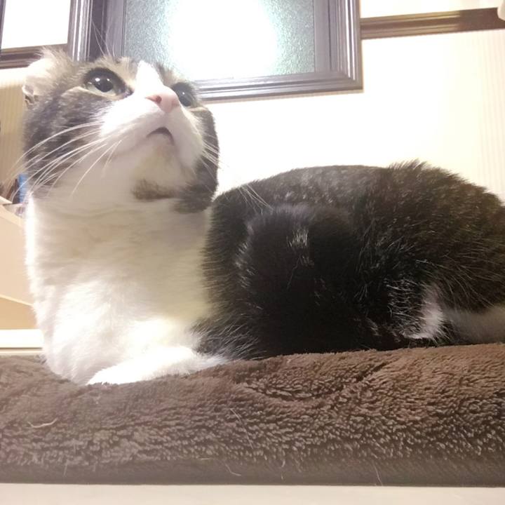 Dd7caf85 ac6d 49c6 a5bf a354092113b4