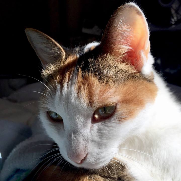 Dd7cd62a 577c 4583 a875 3d01d238465b