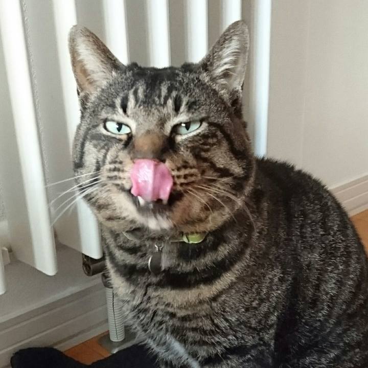 Dd7d3490 a8f3 48d5 a3b7 b0213f3c00e5