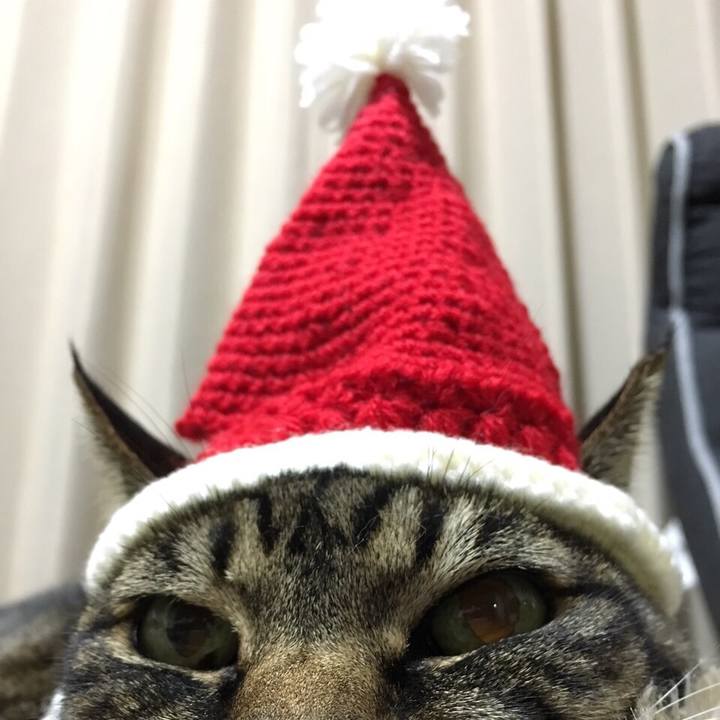 Dd7d4efe 6c4f 4d33 afd9 0541efef48d3