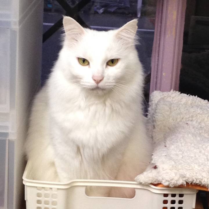 Dd7d825b 93f3 4b1c bd59 b356e0aaaa9a