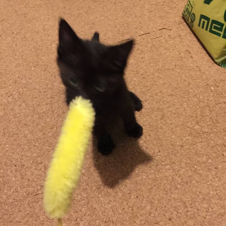 Dd7daa8d 2707 4f01 ac5e c5df58a1d405