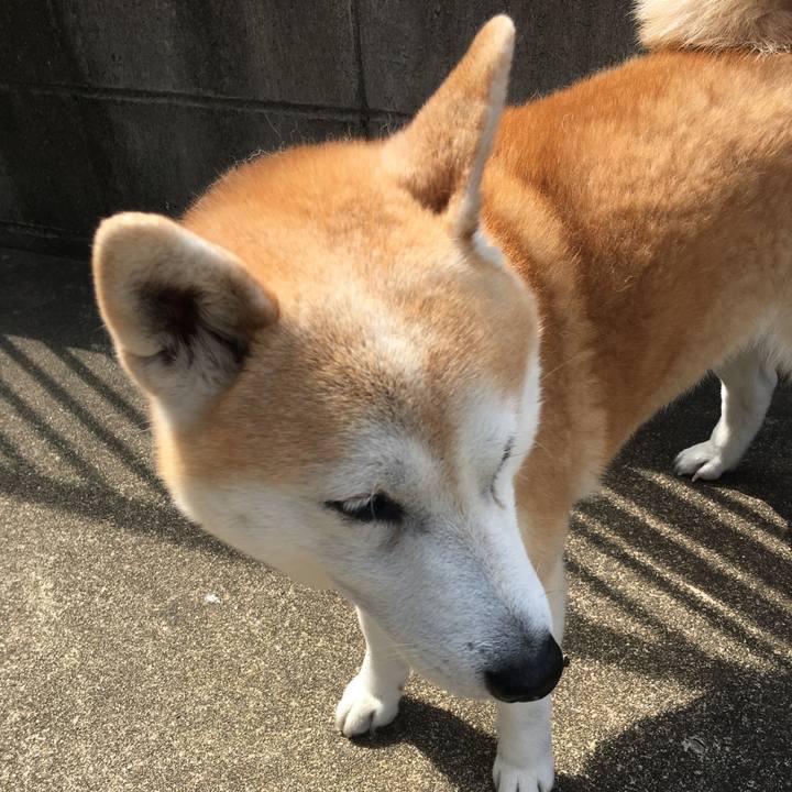 Dd7e46a1 b498 4769 83d1 bd53e1f8307a