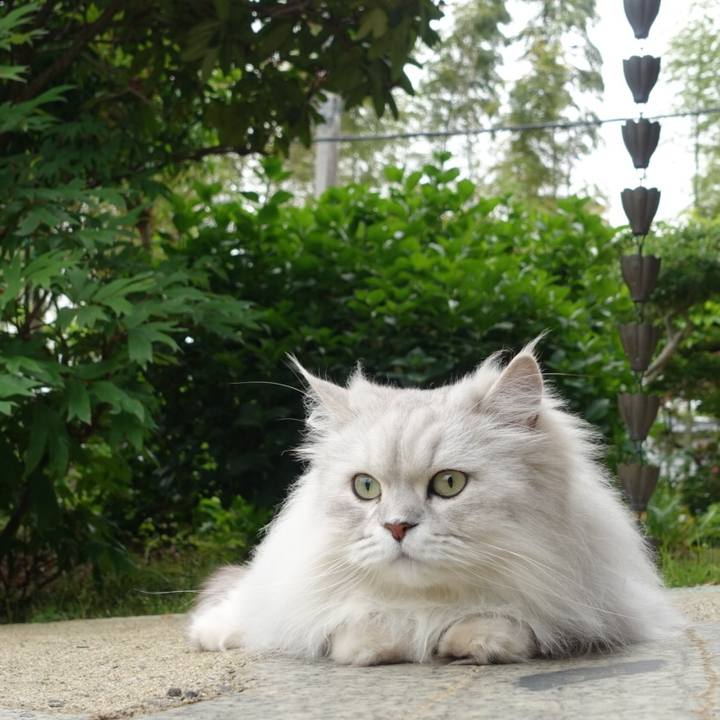 Dd7e83ed 151d 4278 929d 3fde88af46fd