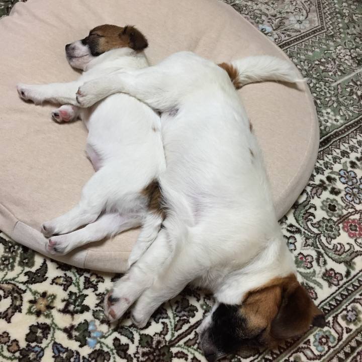 Dd7eae56 9f91 42ec a63d 626b7d4d8a8e