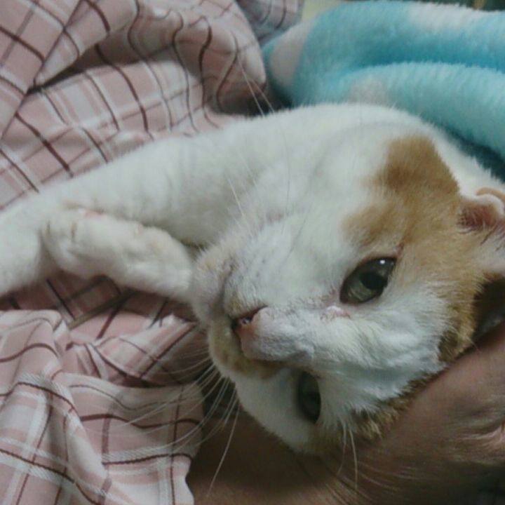 Dd7eddd7 d80a 4023 acb4 db65bf172033