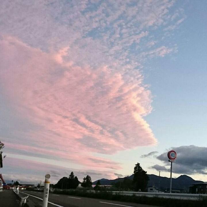 Dd7f1972 df8a 49bf bca4 85d6c11ba0ab