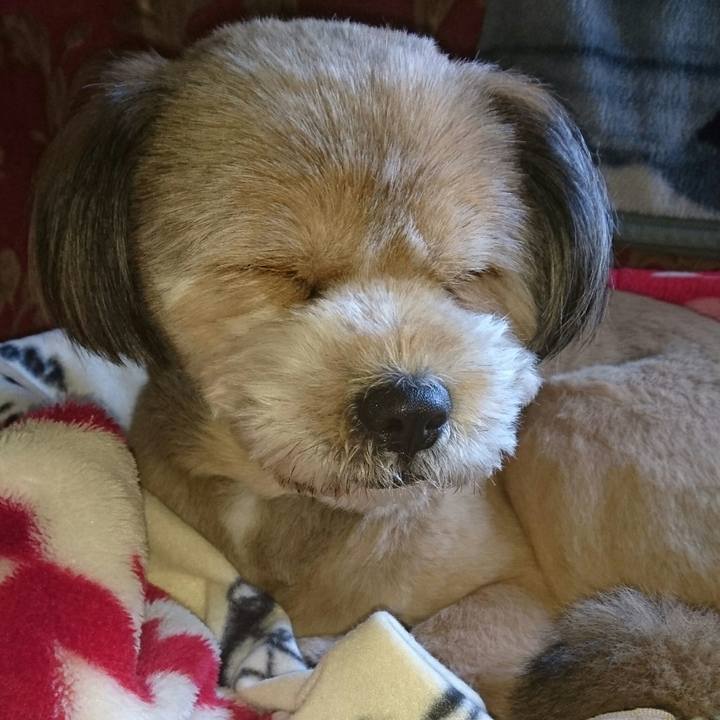 Dd7f5b25 f1c9 4e52 a93f ba2d81ea0e1e