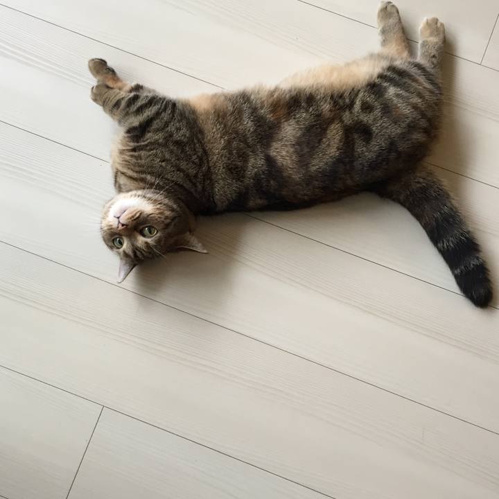 Dd7fbe05 b668 4183 a8a6 fc1590c97731