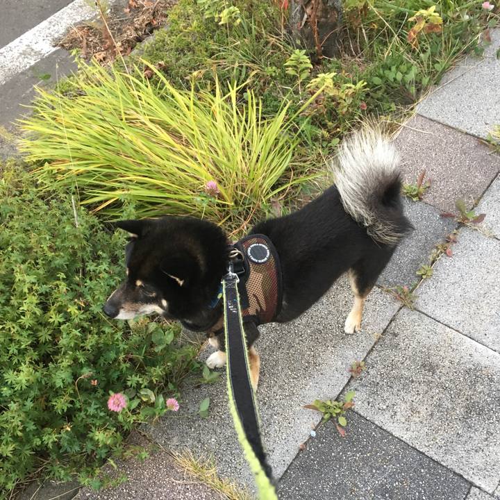 Dd7fda21 d8d9 48f6 8ccf c2c29dfb5cc1