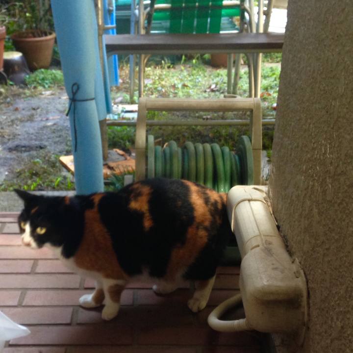 Dd80060d 96d5 45a2 8e35 d3f096c7630b