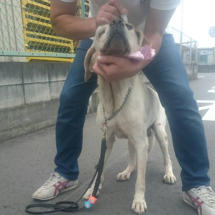 Dd8037a5 fd09 49e0 b487 8aae8c4c960b