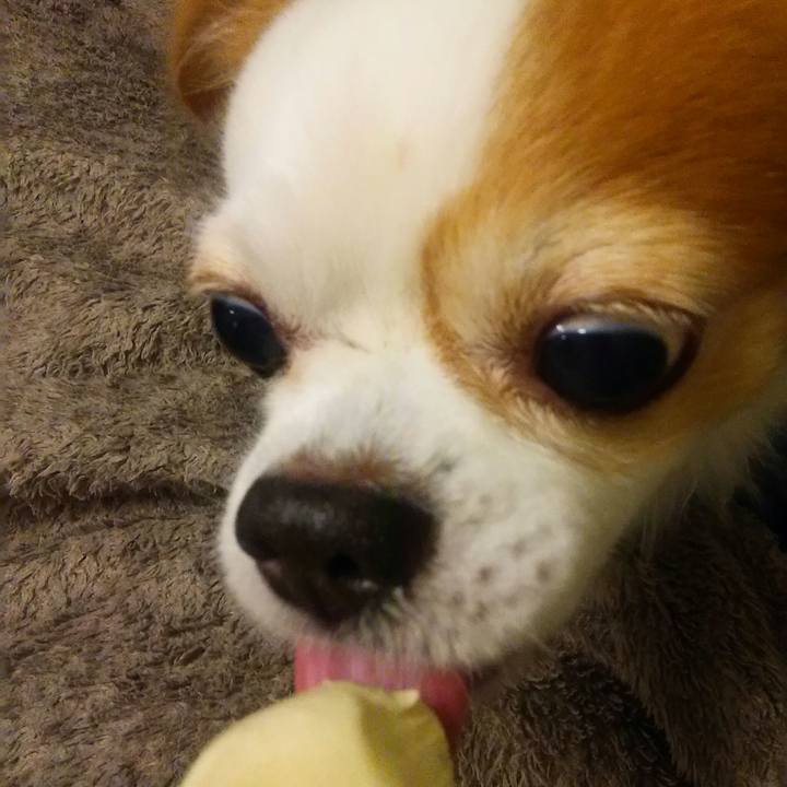 Dd80b020 65dc 4536 9d9e bc0b7a11ca62