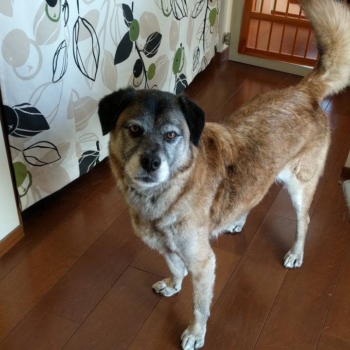 Dd81ea9a 5747 4a76 bcf4 caa6c50057f8