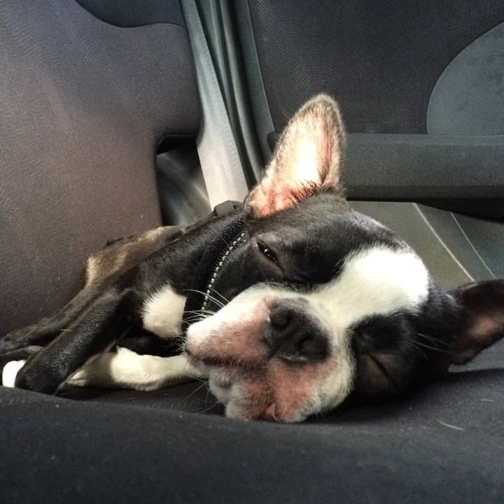 Dd8210e6 99be 4540 8ba3 16a7ae5d7b9c