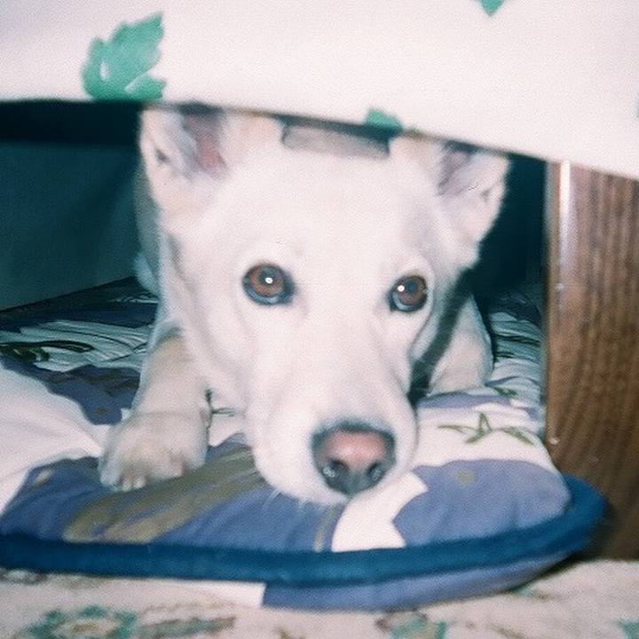 Dd8236be daf2 4f4c 8b45 d8d122da72da